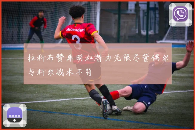 拉科布赞库明加潜力无限尽管偶尔与科尔战术不符