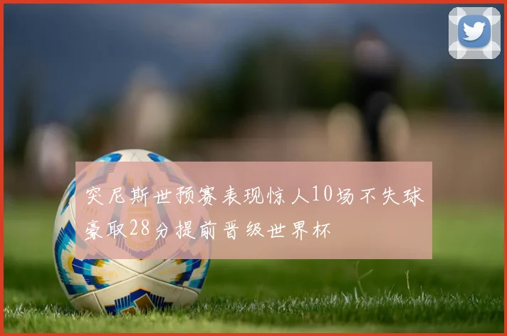 突尼斯世预赛表现惊人10场不失球豪取28分提前晋级世界杯